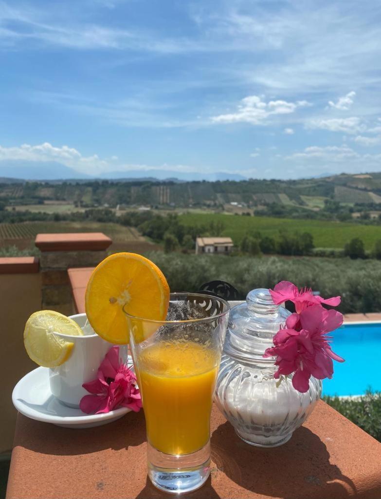 Il Podere Degli Asinelli Città Sant'Angelo Eksteriør billede
