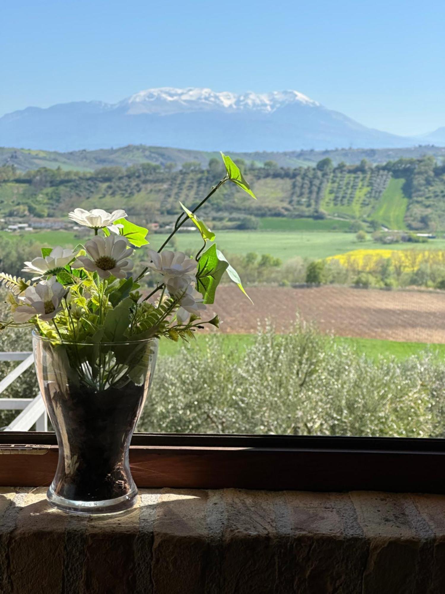 Il Podere Degli Asinelli Città Sant'Angelo Eksteriør billede