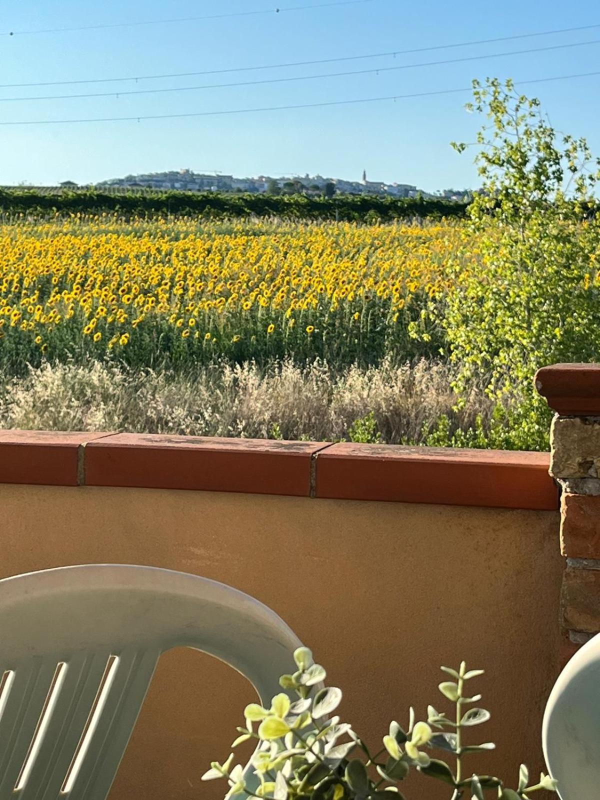 Il Podere Degli Asinelli Città Sant'Angelo Eksteriør billede